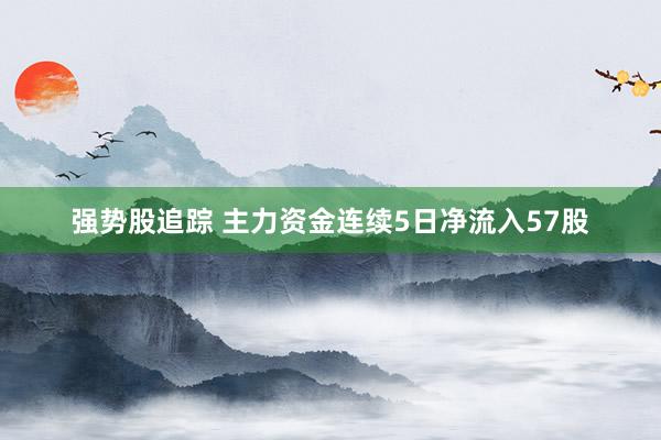 强势股追踪 主力资金连续5日净流入57股
