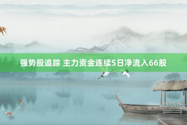 强势股追踪 主力资金连续5日净流入66股