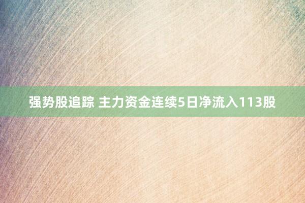 强势股追踪 主力资金连续5日净流入113股