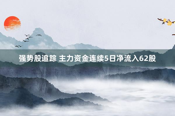 强势股追踪 主力资金连续5日净流入62股