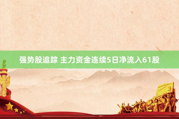 强势股追踪 主力资金连续5日净流入61股