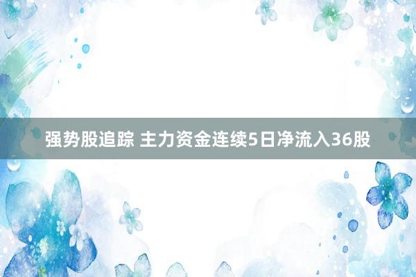 强势股追踪 主力资金连续5日净流入36股